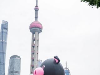 东方名猪金华两头乌亮相东方明珠，组团进军上海高端猪肉市场
