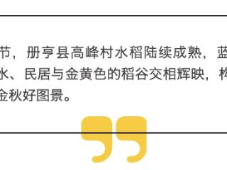 贵州册亨：金秋丰收季 美丽乡村好图景