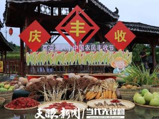 “1+1+N”模式绘就农业多彩新画卷！2025年“中国农民丰收节”贵州主会场活动今日在榕江启幕