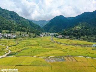 【天眼镜像】航拍下的务川东山坝区