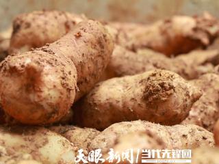 3.95亿元订单见证！“贵药”走出深山，每一味都是贵州的骄傲