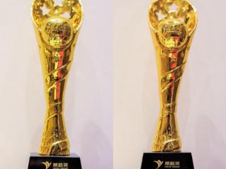 农银人寿荣膺“金融消费权益保护优秀机构”与“卓越养老金融模范奖”两项大奖
