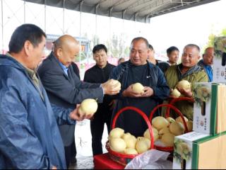 粮满仓·好丰光|郓城：黄河岸边庆丰收 兴业富民绘新篇