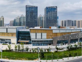 鲁商集团：金秋时节迎丰收，近悦远来开新局