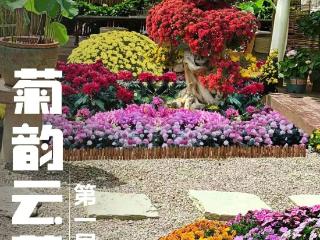 蒙阴十一“放大招”！各大景区活动清单出炉，等你来嗨