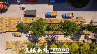 好喝有营养！“5G+数据”炼出刺梨山野本味