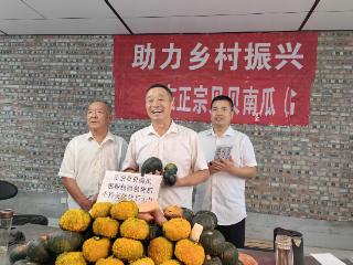 夏津三位老支书的 “数字新农活”：百度慧播星让地瓜从滞销到 “飞向全国”