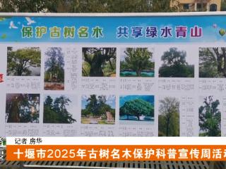 十堰市2025年古树名木保护科普宣传周活动启动