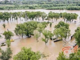 上游一夜大雨 西安灞河水位上涨 水流湍急