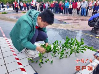 中国农民丰收节丨金秋时节处处好“丰”景 十堰多地喜迎“丰收季”
