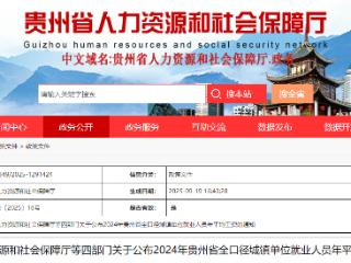 贵州省2024年平均工资公布！