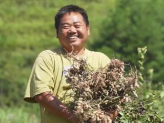 黔中大地看“丰”景｜手里有订单 珍珠花生不愁卖