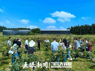 东西南北中·黔地看丰收③｜科技妙手 安顺山果富农乡