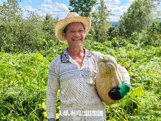 东西南北中·黔地看丰收⑧｜四季常青 都匀文峰菜满园