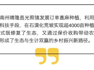 黔西南晴隆：订单蓖麻种植“绿了荒山、鼓了腰包”