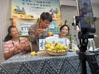 “村播贵州行”走进黔东南，首日村超球场直播掀“苗侗山珍”购物热潮