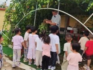 农耕材料的艺术协奏––––东营市利津街道王庄幼儿园主题探索活动