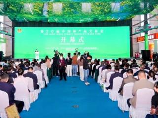 观菏泽｜从曹县小镇到世界舞台 看林交会上的“智”变与“绿”动