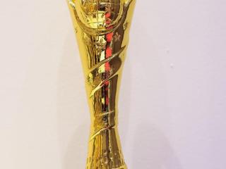 阳光财险获评“金融消费权益保护优秀机构奖”
