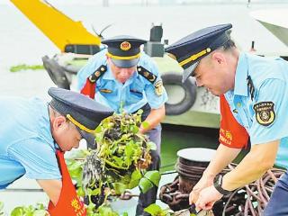 宜春市交通运输执法支队樟树水路执法大队党员先锋队：清理水草 守护赣江