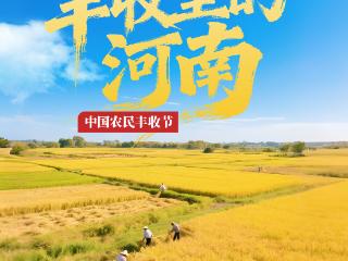 豫见丰收丨数说丰收里的河南