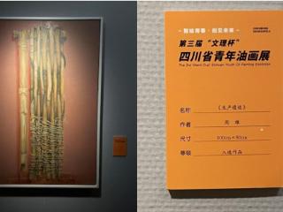 四川托普学院人文学院教师油画作品入选第三届“文理杯”四川省青年油画展