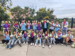 莒南县第二小学开展“劳动结硕果·秋日采葫芦”主题采摘活动