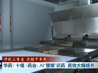 冲刺三季度 决胜下半年｜华药（十堰）药业：AI“慧眼”识药 质效大幅提升