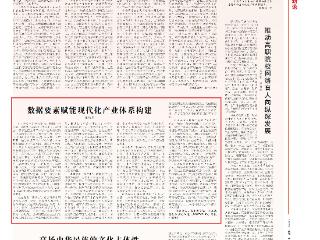 董晓东：加速推进数据要素“资源化—资产化—资本化”转化