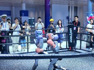 机器人格斗、AI眼镜付款，第四届全球数贸会黑科技抢先看