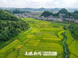 “十四五”以来贵州实施灌区项目170个 新建改造及恢复灌面424.8万亩