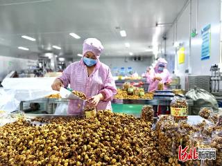 大模型算出爆款，红枣变致富“金枣”