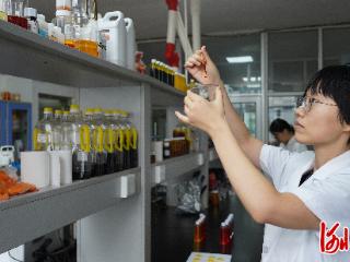 曲周县打造生物健康全产业链新高地 绿色提取“链”出百亿大产业