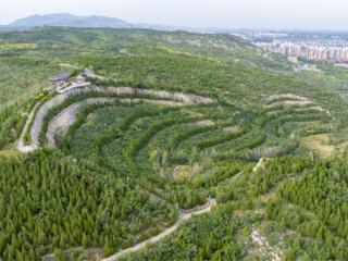废弃矿山变身森林公园