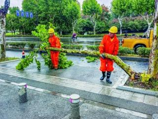 “桦加沙”昨带来大风大雨