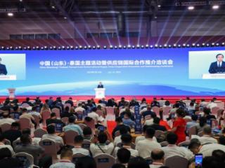 山东省贸促会：驭经贸之舟，扬帆山东对外贸易新航程