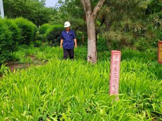 泰山燃气：风雨之后显担当