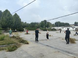 莒南县洙边镇纪委：强化监督检查 筑牢人居环境整治纪律防线