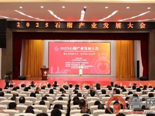 枣庄市2025石榴产业发展大会开幕