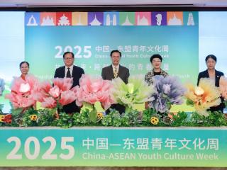 2025中国—东盟青年文化周开幕