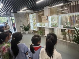 走进百花洲，开展 “水文化” 研学之旅