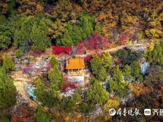 双节假期怎么“游”山亭，具体“教程”来了