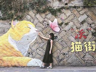 厦门猫街以“文明+网红”模式让文明理念融入烟火日常