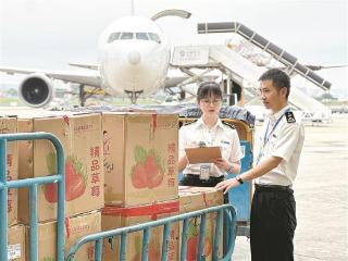 厦门空港“空空中转”货运量今年前八月同比增长42%