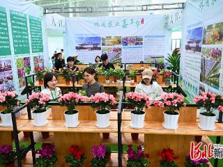 “双节”临近 花市升温