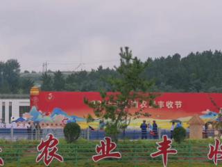 庆农业丰收，享美好生活！山东移动烟台分公司让丰收图景更智慧