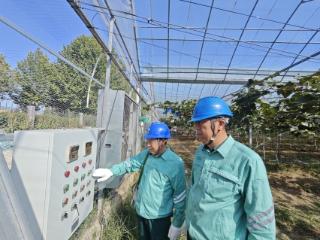 兖州供电中心：“电管家”助力果农致富增收