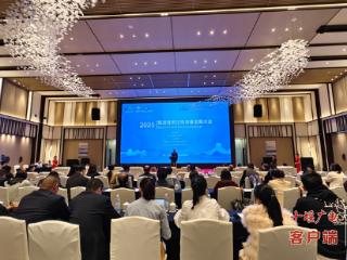 2025中国旅游景区协会旅游度假区高质量发展大会在武当山召开