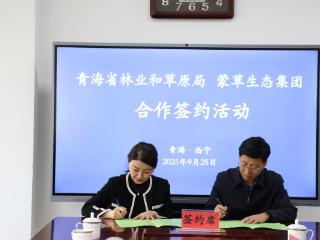 青海省林草局与蒙草生态携手，科技赋能“三北”工程攻坚战