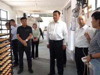 临沭县店头镇：公司领导赴前细柳村开展调研工作